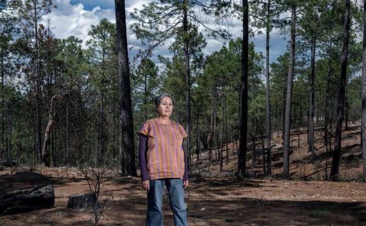 El 60% de los asesinatos de ecologistas se dan en Latinoamérica, según estudio internacional