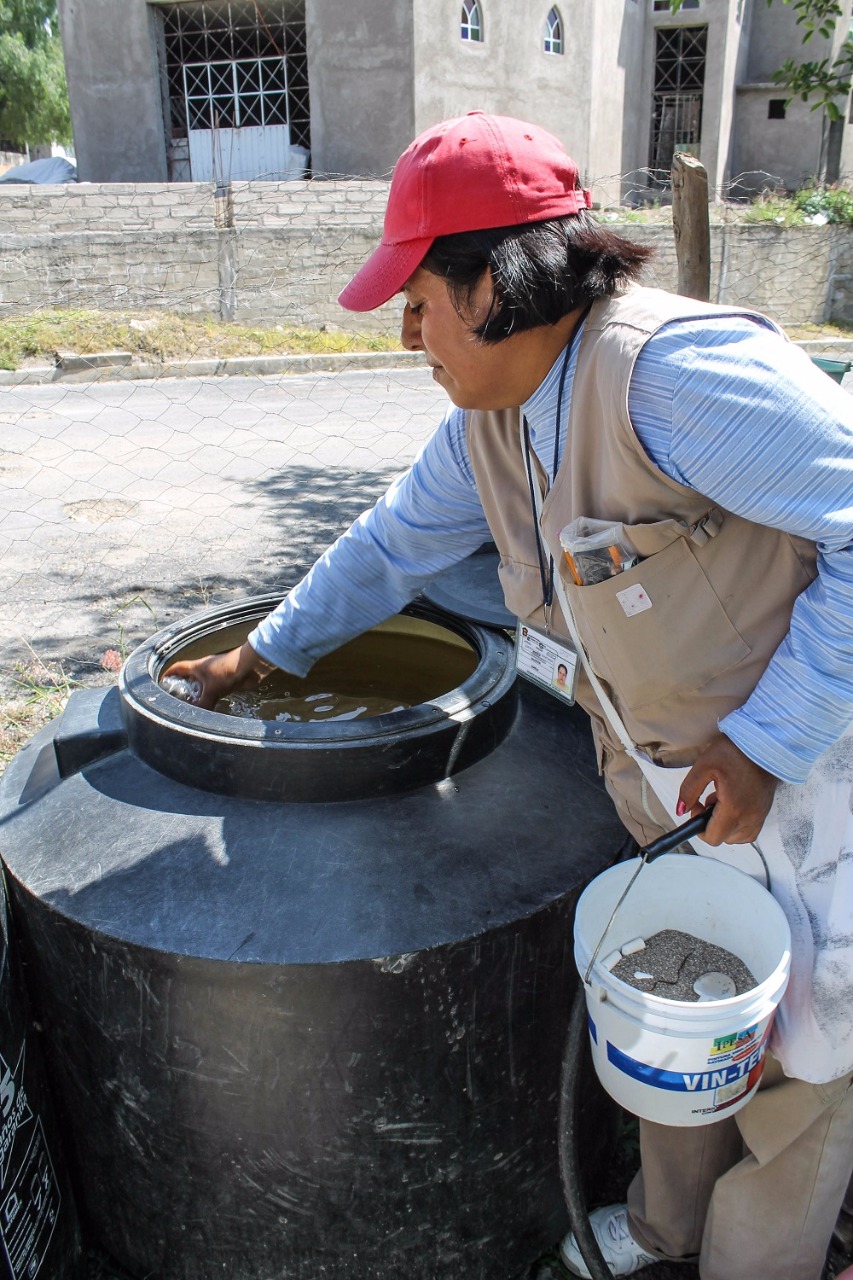 BAJAN 50% CASOS DE DENGUE EN EL EDOMÉX