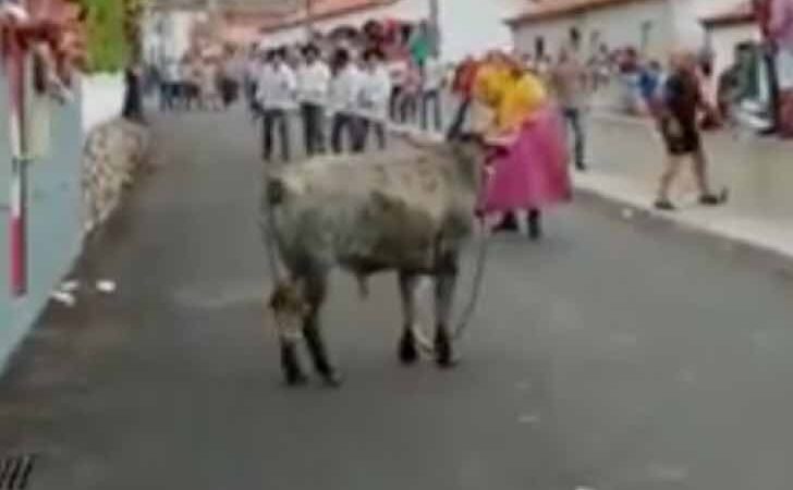 Con su hijo de 3 años en brazos, provoca a un toro en la calle. El animal corre furioso tras ellos