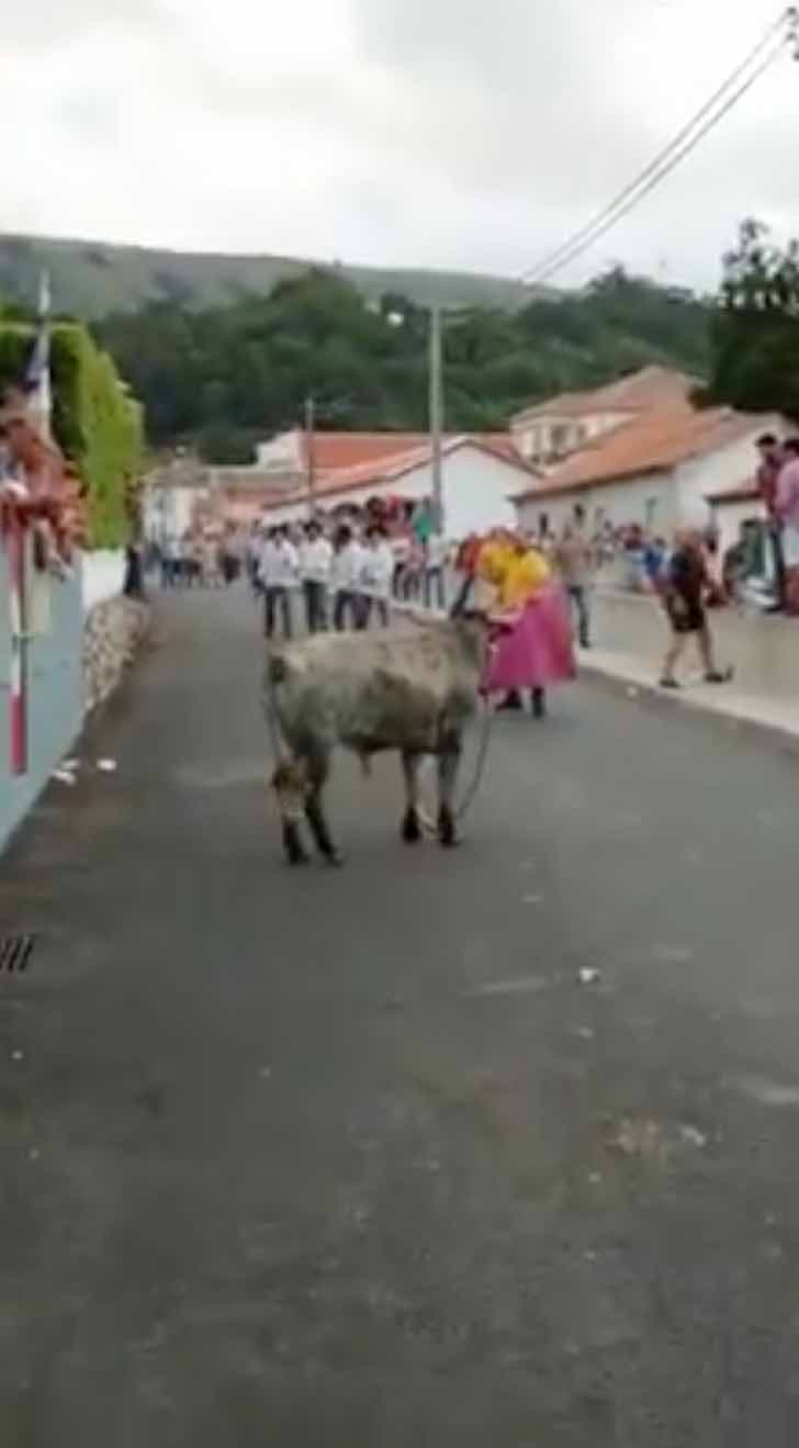 Con su hijo de 3 años en brazos, provoca a un toro en la calle. El animal corre furioso tras ellos