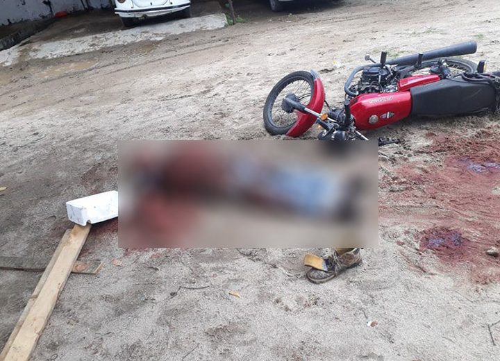 Perro Pitbull ataca y mata a motociclista en Tabasco