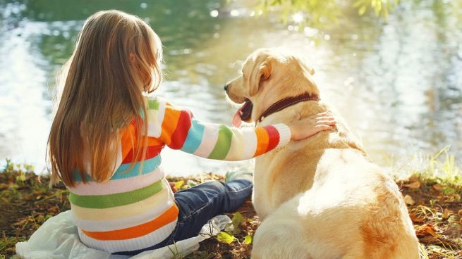 Diferencias entre la humanidad y los animales ¿las conoces?