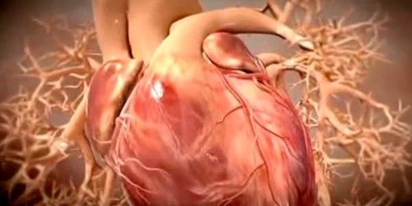 Enfermedades cardiovasculares también pueden atacar a los jóvenes