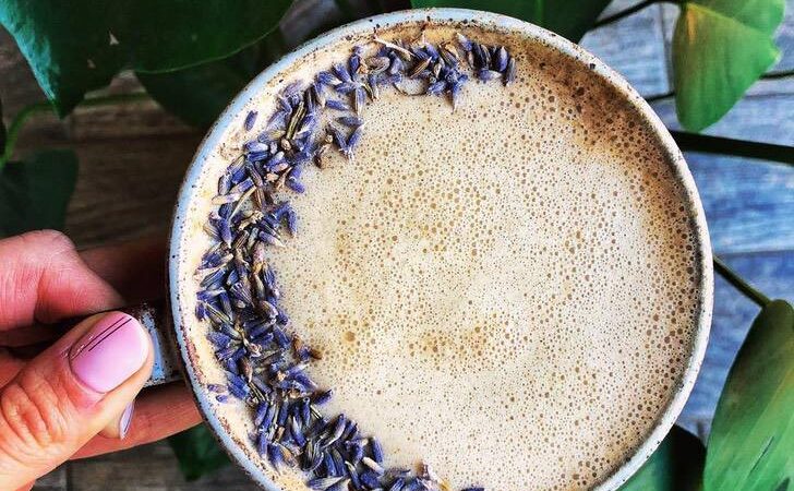 La poción natural que te ayudará contra el insomnio. “Moon milk” es un delicioso y útil latte