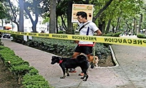 Mandan al mas allá a joven por ENVENENAR PERROS