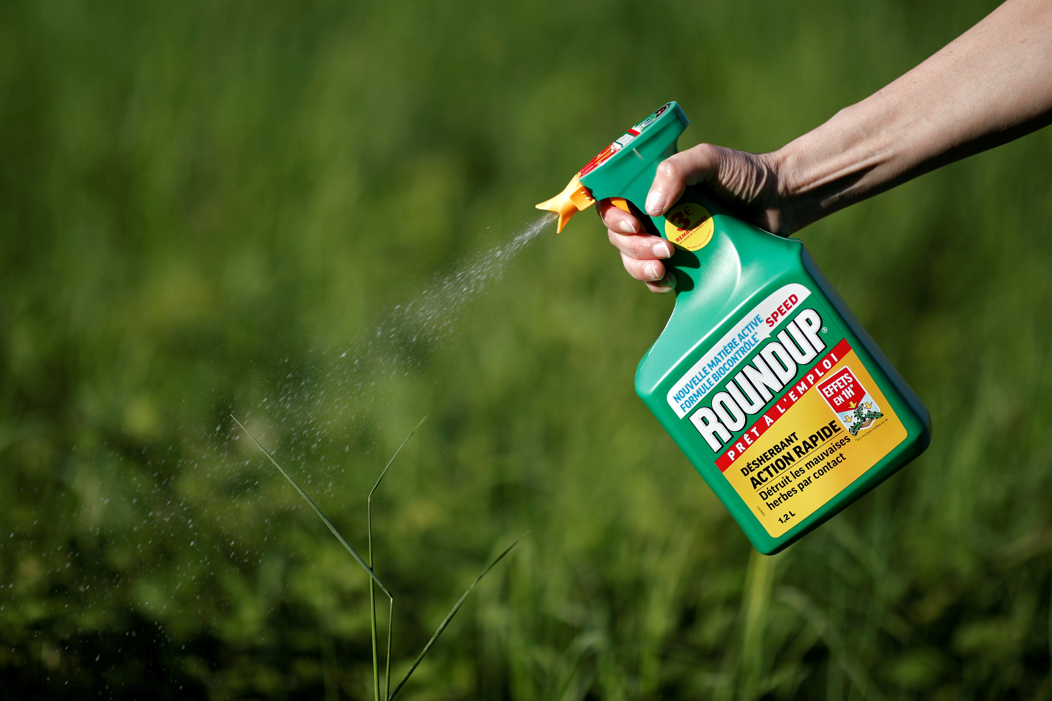 Roundup, herbicida producido por Monsanto que contiene glifosato. (REUTERS/Benoit Tessier/File Photo)