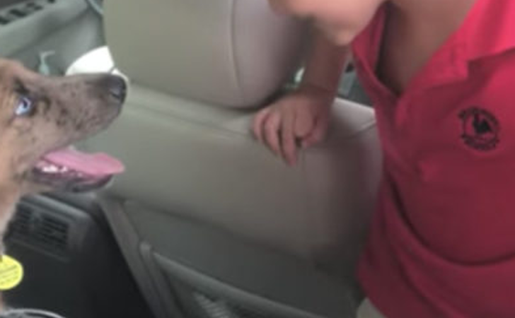 Niño abre la puerta del coche y un cachorro lo espera adentro. Ninguno pudo contener su felicidad