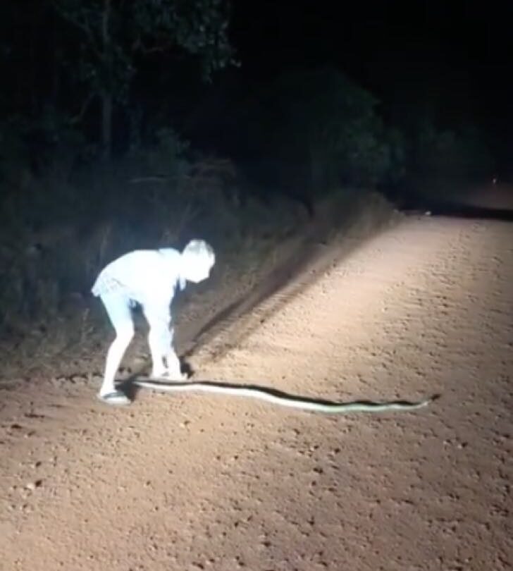 Intenta rescatar una serpiente tras casi matarla La sangre brota cuando la jala con sus manos |