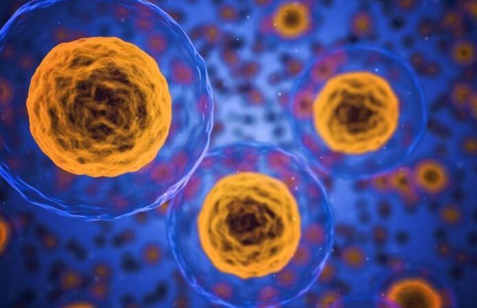 Hallan método capaz de frenar el cáncer para siempre