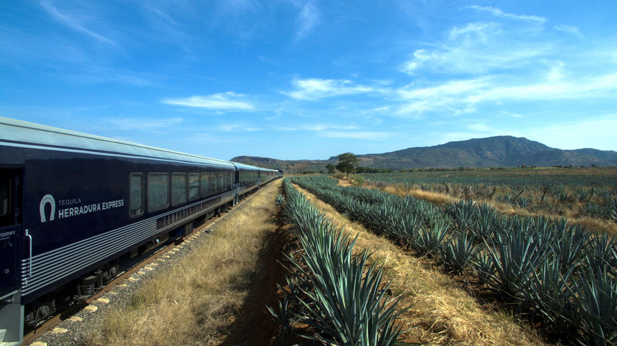 Un viaje por el corazón de Jalisco para festejar las fiestas patrias