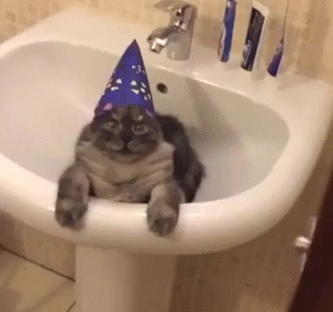 “Gato Houdini” usa sus garras y muestra cómo escapa de su jaula. Él mismo puede volver a cerrarla
