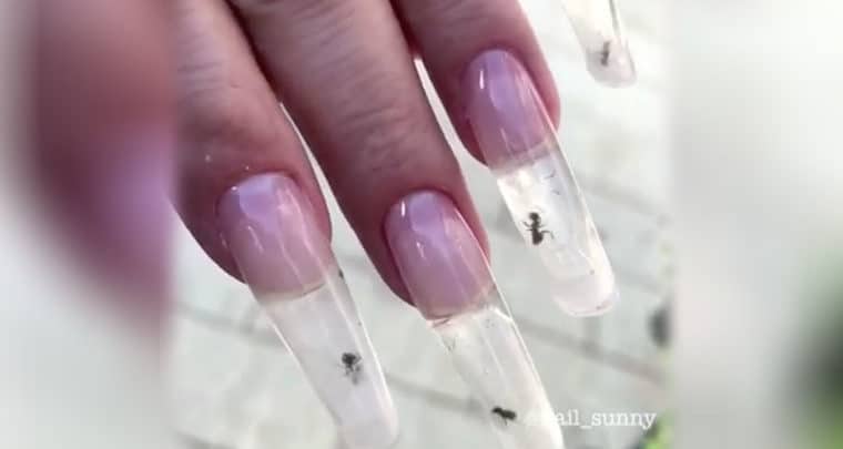 Son unos insectos los que crearon las uñas de acrílico con hormigas vivas