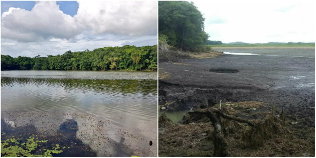 Socavón “se traga” el agua de una laguna en Quintana Roo