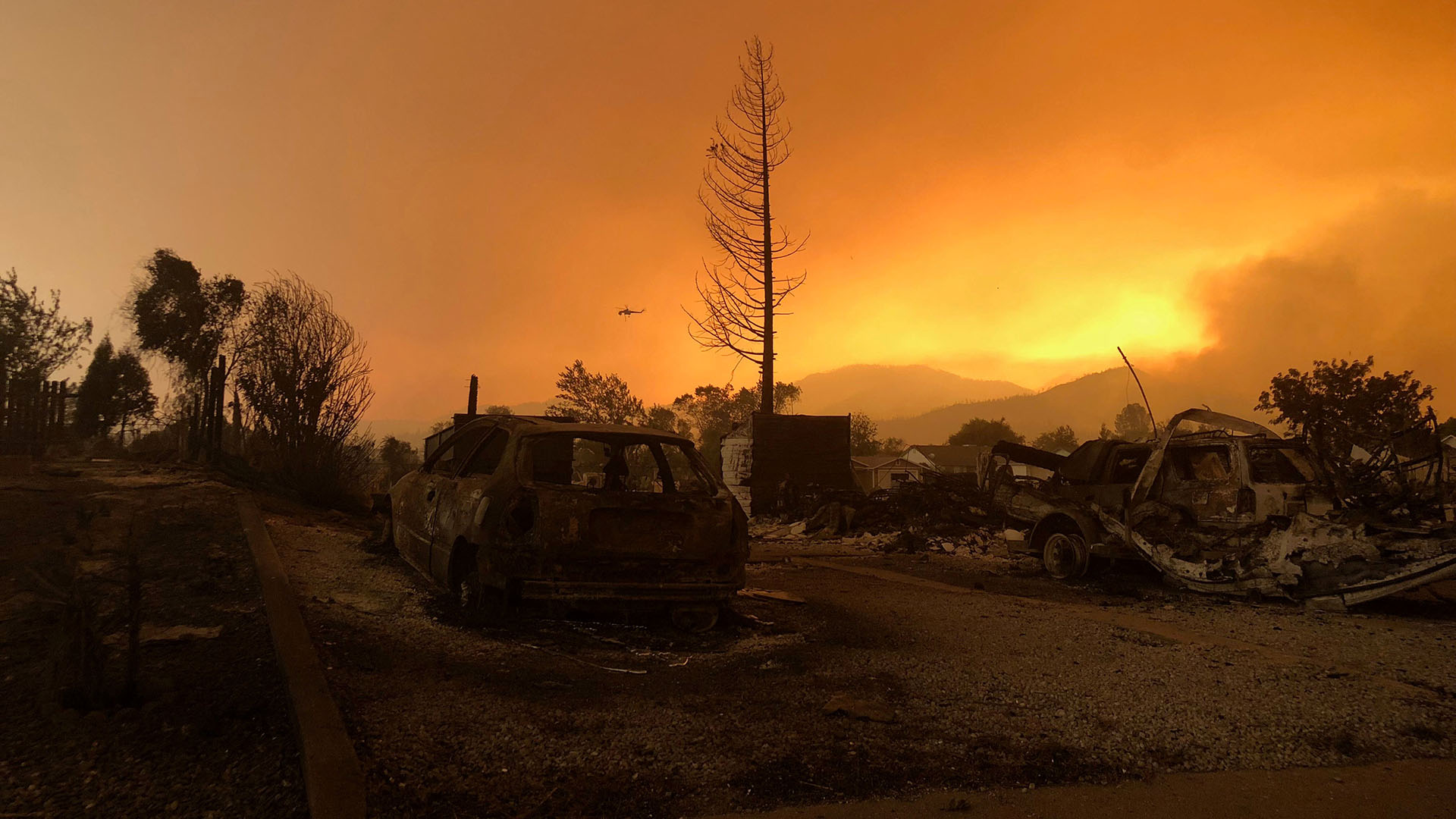 Los incendios forestales también pueden ser objeto de estudio, pues a partir de la detección de partículas orgánicas como macrorrestos de carbón se pueden reconstruir incendios e indagar sus causas