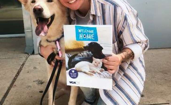 Hizo creer a su mamá que compraría un sándwich. Queda en shock cuando ve llegar a casa un perro