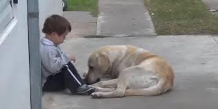 No se mueve del lado de este niño con Síndrome de Down. Está empeñada en protegerlo y darle su amor