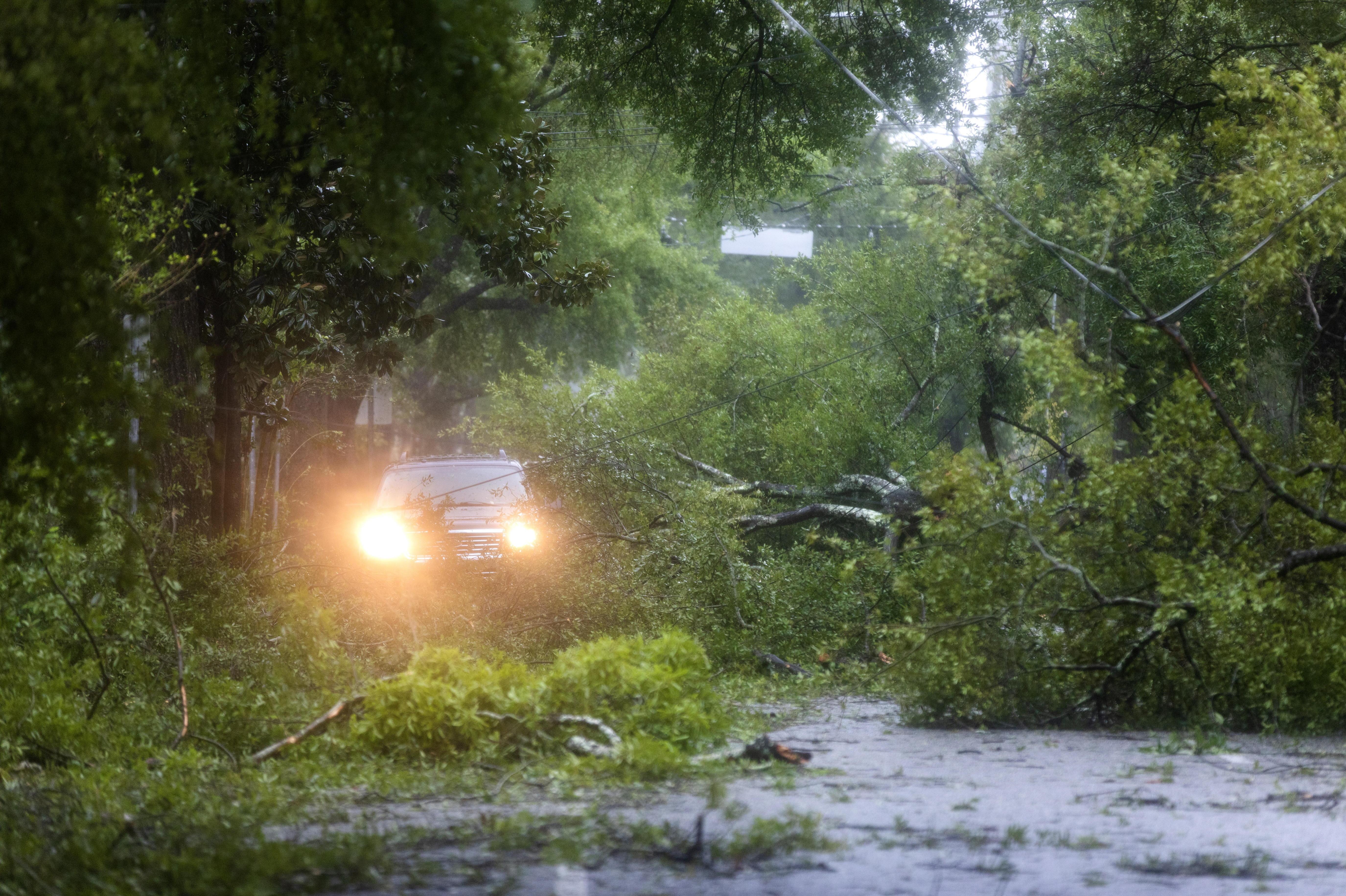 Cientos de arboles colapsaron en  Wilmington, Carolina del Norte. (EFE/EPA/JIM LO SCALZO)