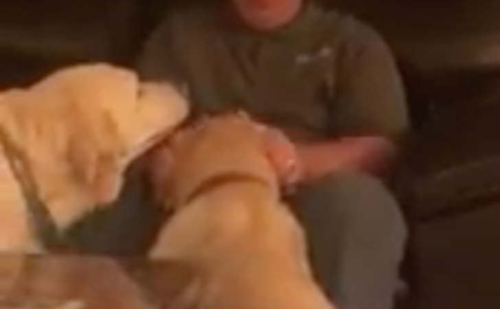 Este perrito necesita un remedio para curar sus oídos. Su mejor amigo cree que también es para él