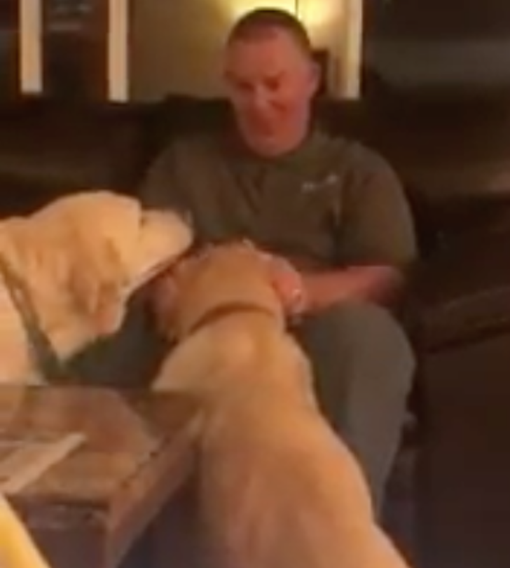Este perrito necesita un remedio para curar sus oídos Su mejor amigo cree que también es para él |