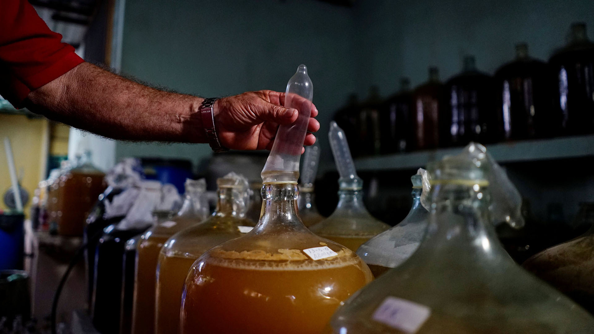 Orestes Estevez revisa un condón utilizado para la producción de vino en su bodega improvisada de La Habana. REUTERS/Alexandre Meneghini