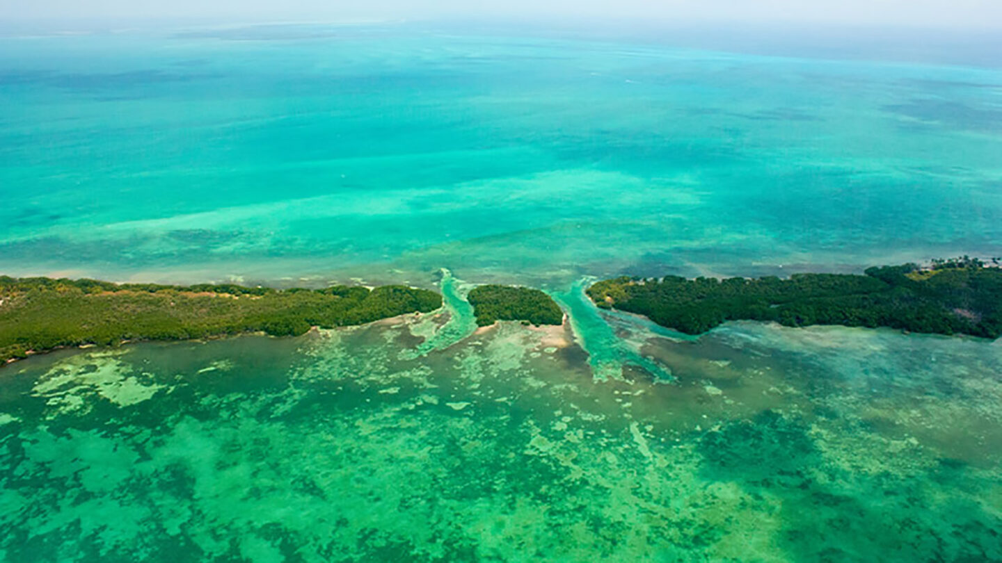 El misterio que rodea la venta de la última isla virgen de la Riviera Maya |