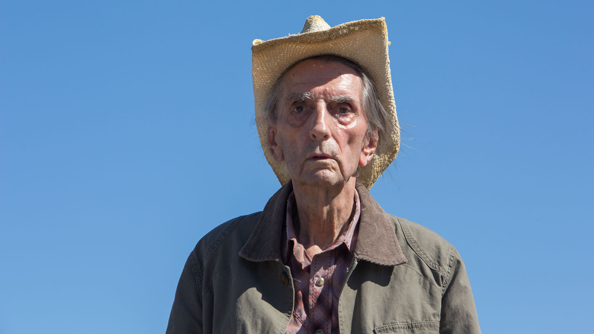 Cómo es "Lucky", la gran despedida de Harry Dean Stanton