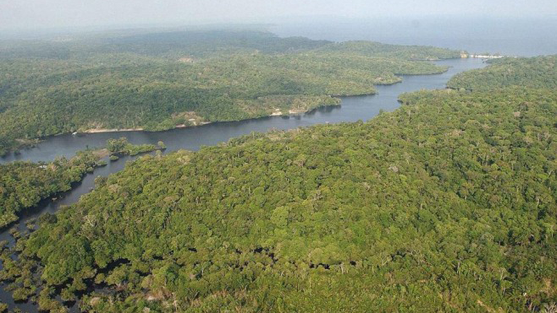 El misterioso "cementerio" indígena con 500 años hallado en el corazón de la Amazonía brasileña