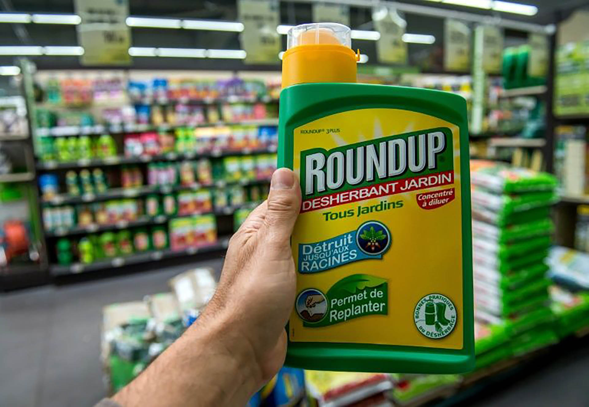 Rounup es el herbicida elaborado con glifosato de la multinacional Monsanto (adquirida por Bayer), que un hombre de 46 años dice que lo enfermó de cárcel terminal.