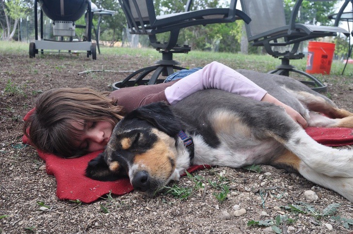 Tu perro jamás querrá que alguien malo se te acerque. Lo detectan y un estudio así lo confirma