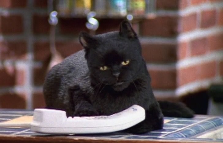 Advertencia: Salem no habla en la nueva “Sabrina” de Netflix. Perdimos al mejor gato de la TV