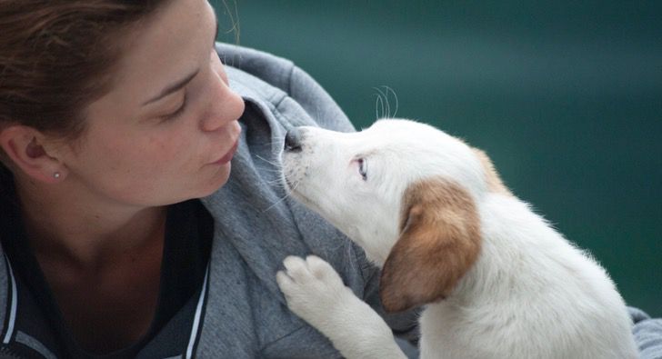 Estudio revela que algunas personas aman más a los perros que a otros humanos. Y no los culpamos