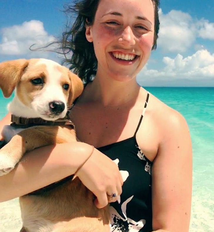 Paraíso en la tierra: disfruta gratis esta isla del Caribe rodeado de adorables perritos