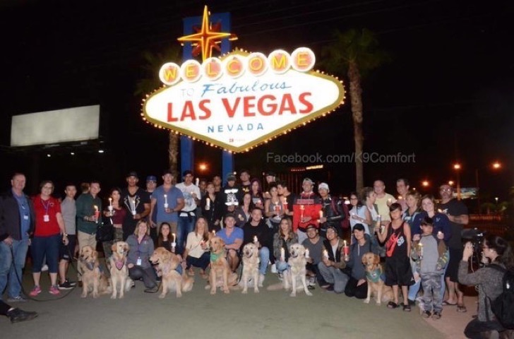 Perros de Estados Unidos vuelan a Las Vegas a trabajar con las víctimas. Su deber es ser acariciados