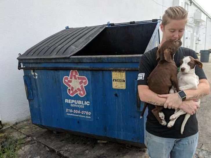 Los abandonaron en un basurero como objetos. Cuando los rescatan, su reacción es impagable