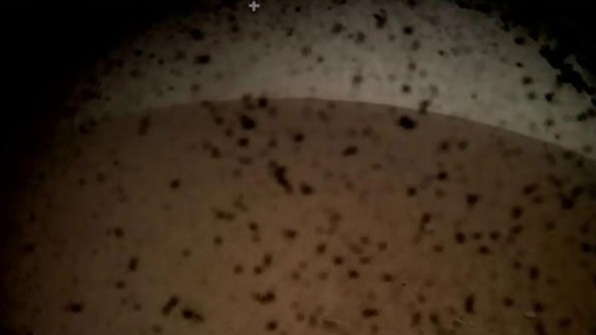 La sonda InSight de la NASA llegó a Marte