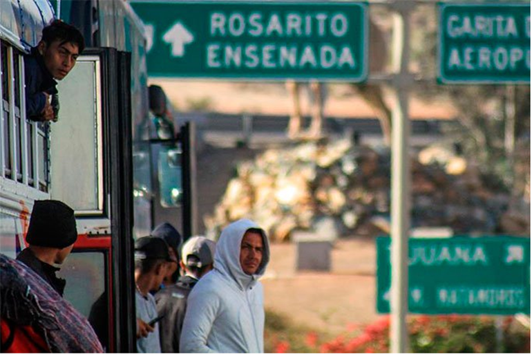 Más de siete mil hondureños decidieron volver a su país de origen (Foto: AP)