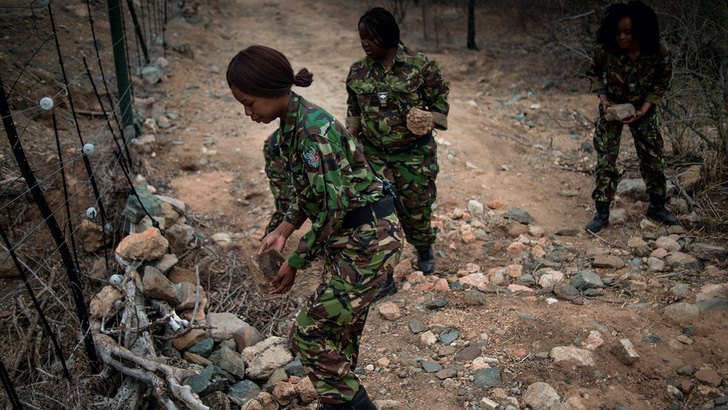 Africanas se unen y patean el trasero a los cazadores de rinocerontes. No tolerarán más masacres