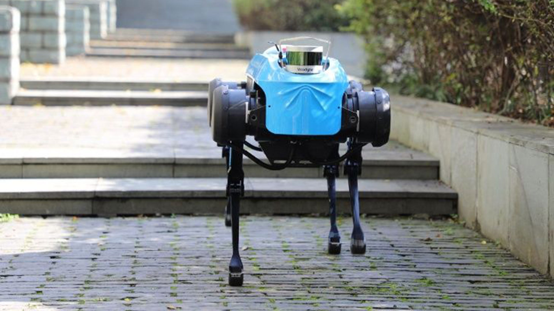 China lanzó un nuevo perro robot capaz de correr, subir escaleras y mover objetos de 20 kilogramos