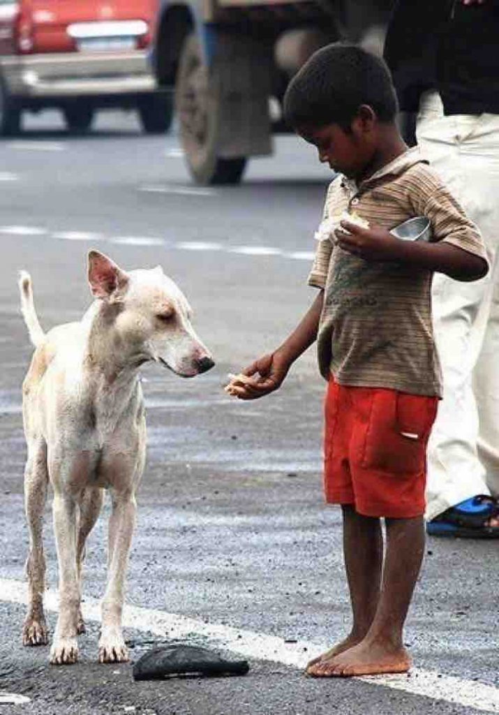 Son pobres, pero su riqueza está en su corazón: 15 personas sin hogar que dan todo por sus perros