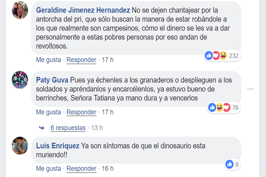 Comentarios de seguidores de la diputada (Foto: Facebook/ Tatiana Clouthier)