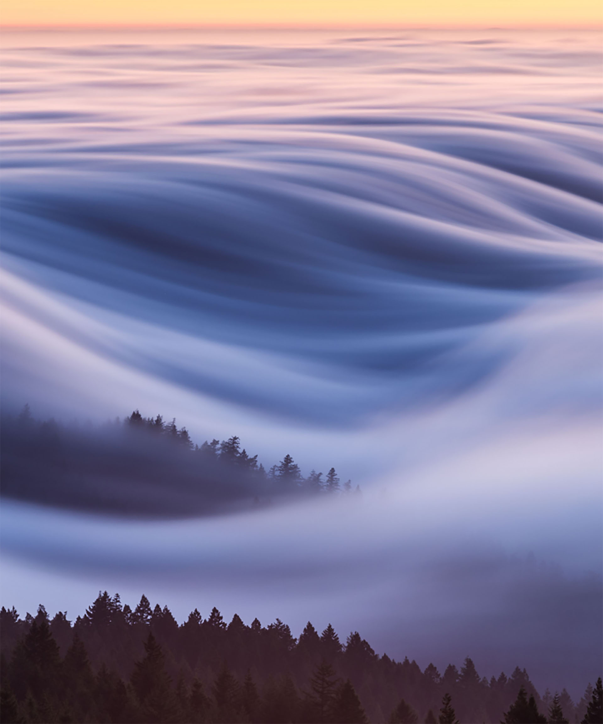 La bruma en el Monte Tamalpais, California. (Fotos: National Geographic)