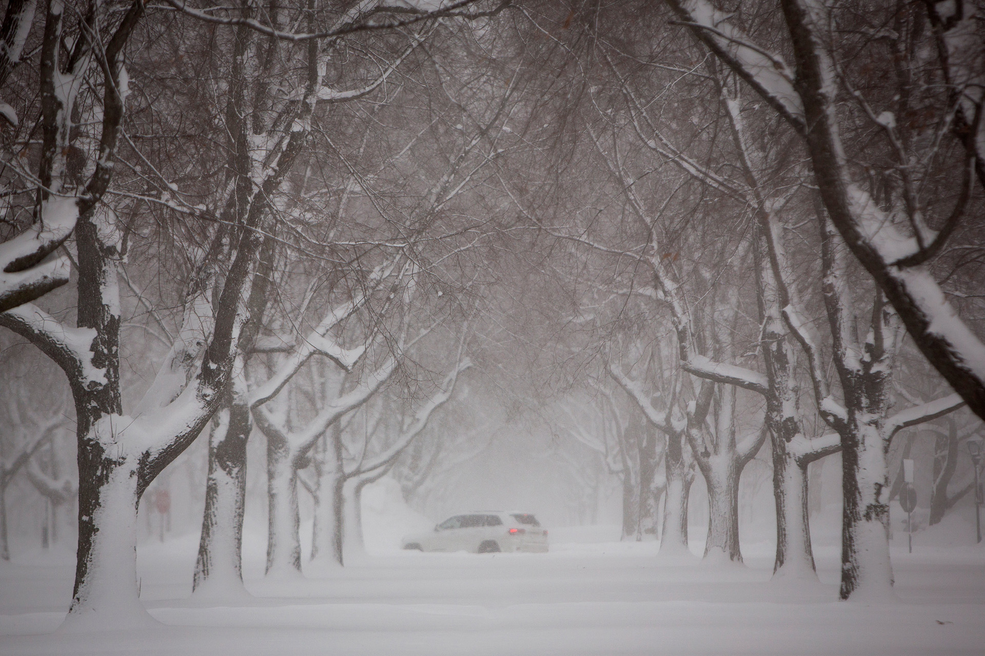 Un vehículo avanza por el Lincoln Parway en Buffalo, en medio de la tormenta de nieve.