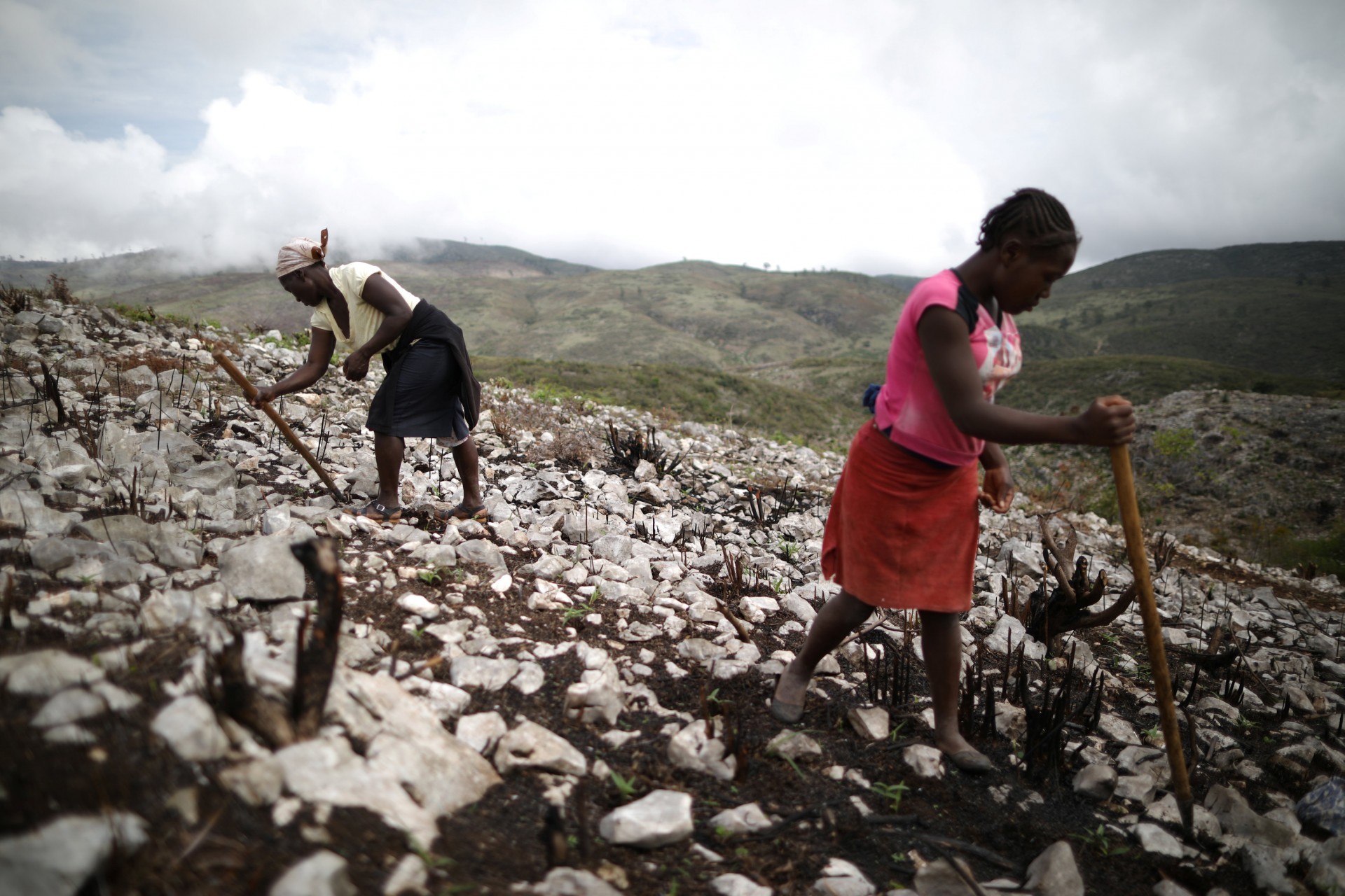 Las mujeres usan una herramienta casera para hacer agujeros y siembran semillas en un campo cerca de Boucan Ferdinand, Haití, 6 de abril de 2018.