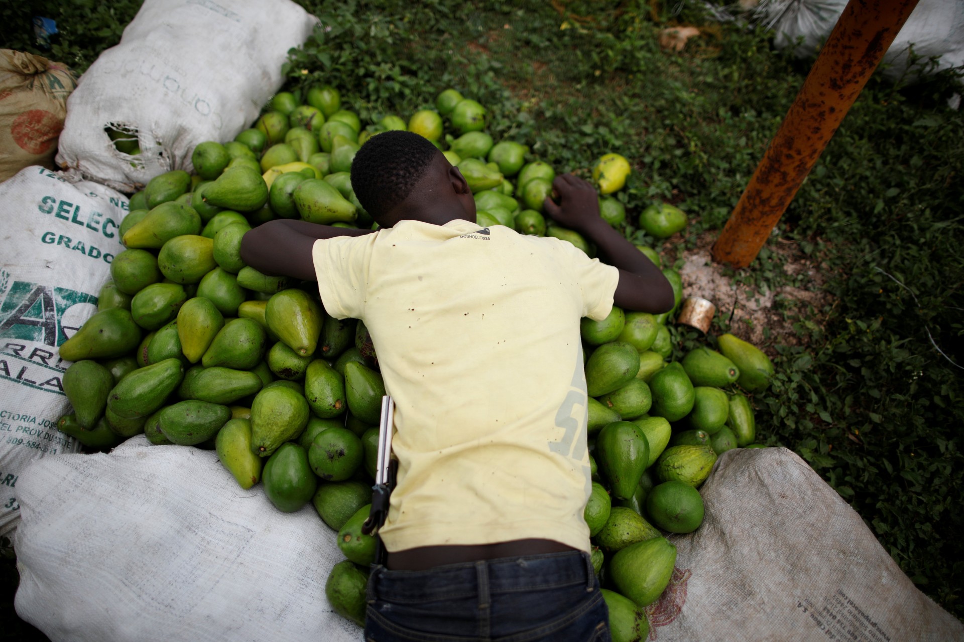 Un niño descansa sobre una pila de aguacates en la frontera entre República Dominicana y Haití, en el puesto militar de El Guacate, Provincia de Independencia, República Dominicana, 2 de octubre de 2018.