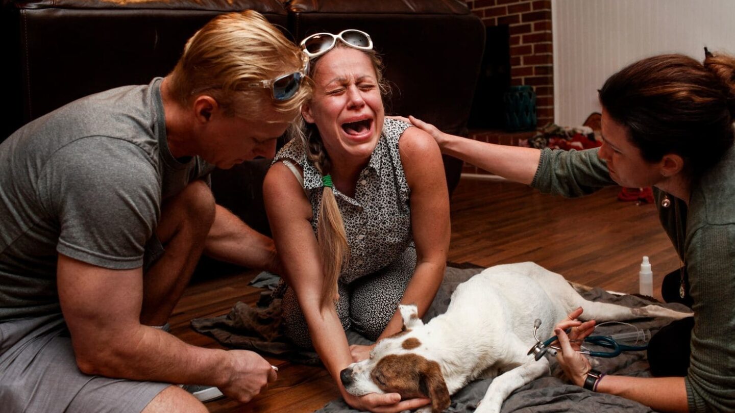 Las fotos de dueños despidiendo a sus perros que te romperán el corazón |