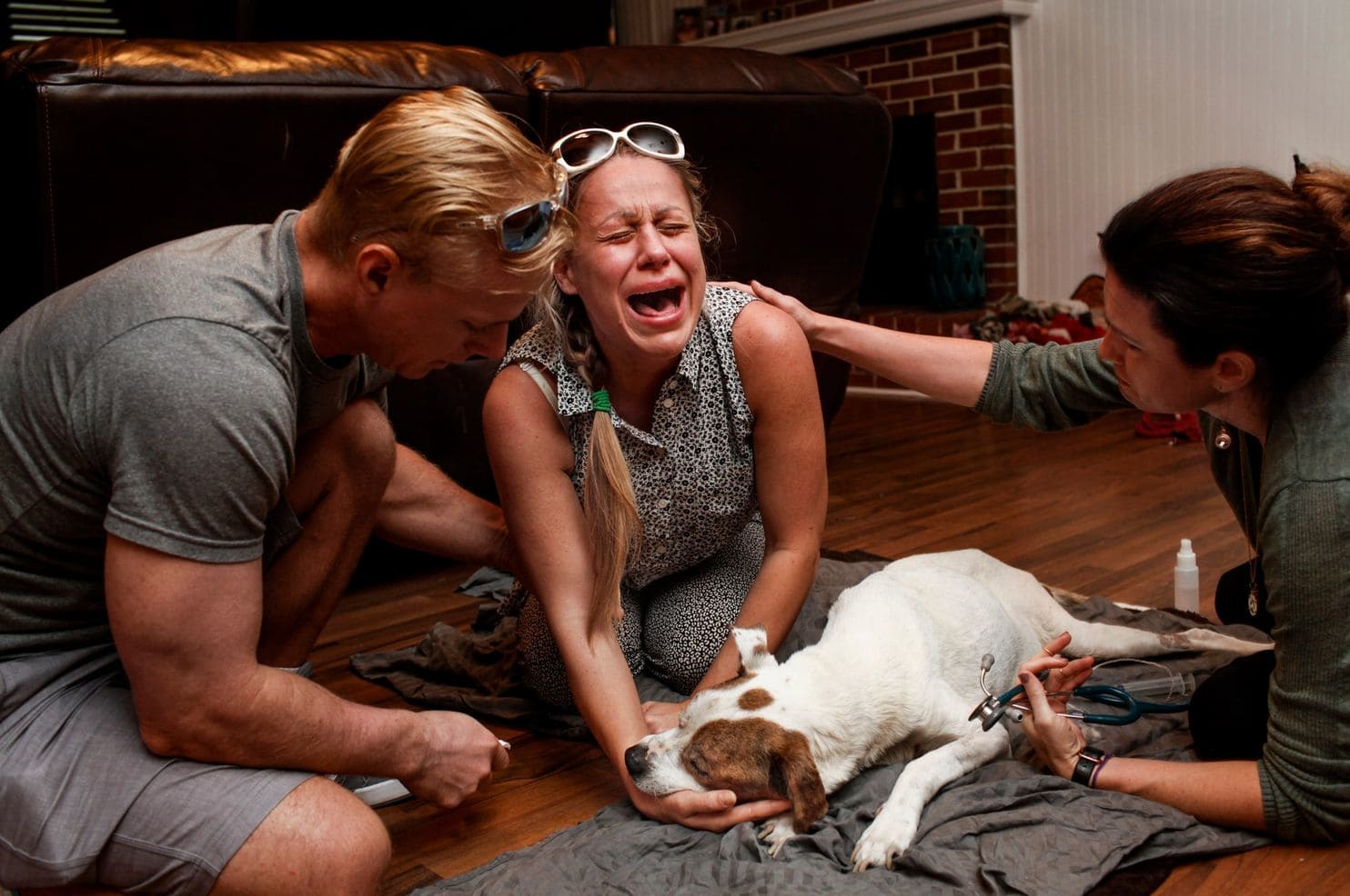 Las fotos de dueños despidiendo a sus perros que te romperán el corazón