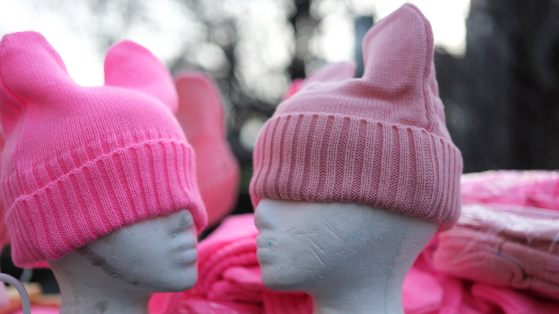 Los gorros rosa son una de las marcas distintivas de la marcha de mujeres  REUTERS/Caitlin Ochs