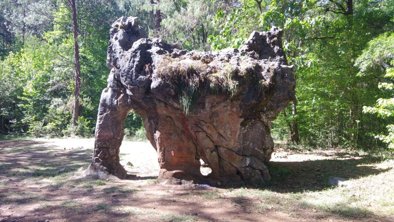 FAMILIA REGIA VANDALIZA LA PIEDRA DEL ELEFANTE EN RESERVA NATURAL