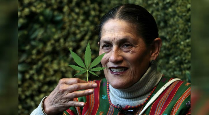 ¿SOR JUANA A FAVOR DE LA CANNABIS? JESUSA RODRÍGUEZ CREE QUE SÍ