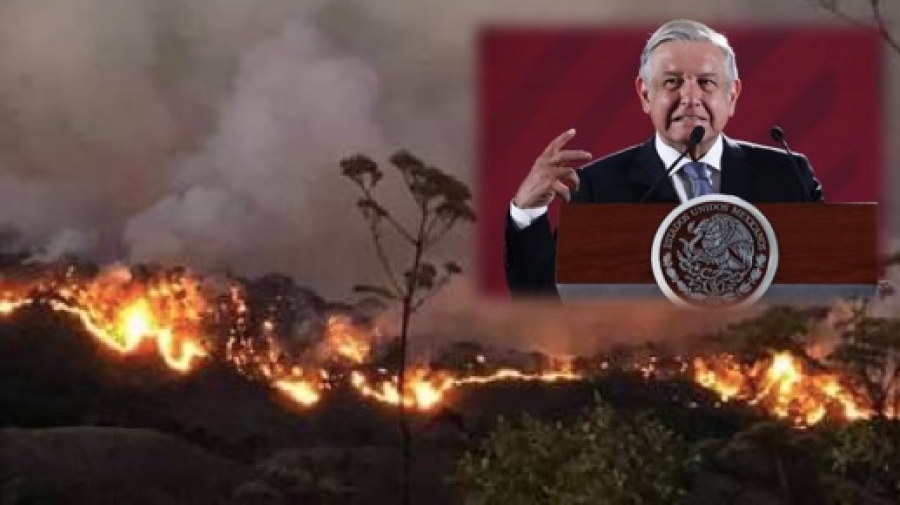 Gobierno de AMLO es culpable de incendios: Margarita Zavala